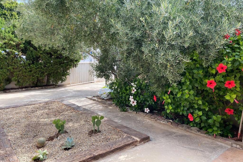 فيلا Casa Marite سان خوسيه المظهر الخارجي الصورة